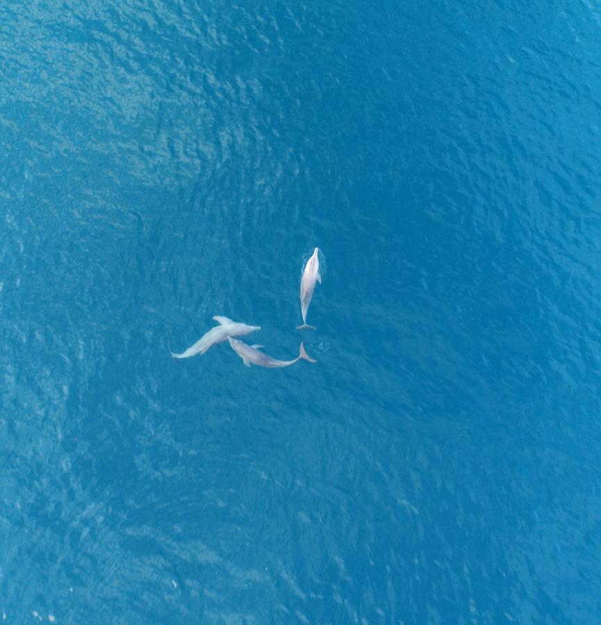 Island Pavilion Hangnaameedhoo Екстериор снимка